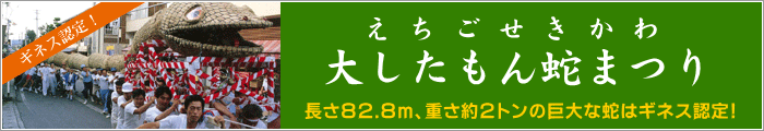 えちごせきかわ 大したもん蛇まつり