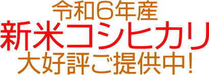 令和6年産 新米コシヒカリ