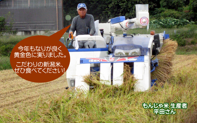 もんじゃ米生産者 平田さん